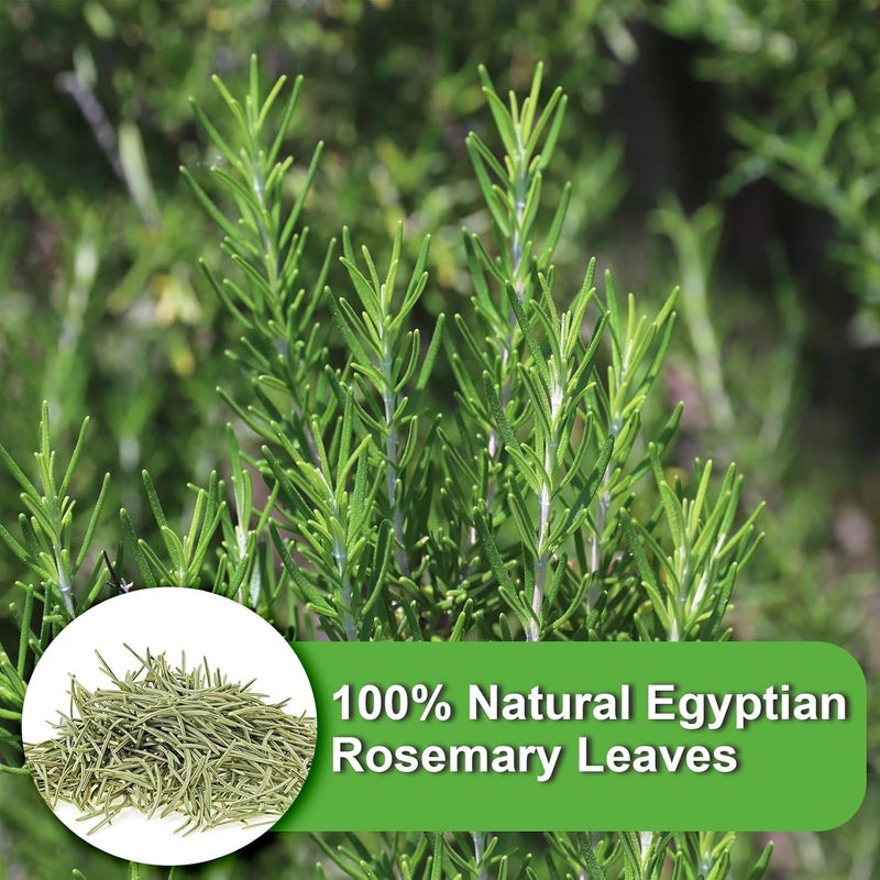 FullChea Rosemary Tea Bags - 36 Count, Caffeine-Free Herbal Tea from Egypt - Image 3